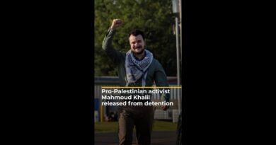 Pro-Palestinian activist Mahmoud Khalil released from detention | AJ #shorts