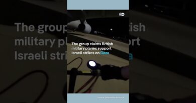 Pro-Palestinian activists break into British Royal Air Force base | DW News
