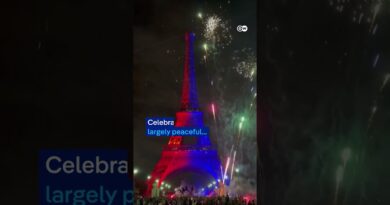 PSG celebrations over 5-0 Champions League victory turn deadly | DW News