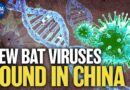Scientists Discover 20 New Bat Viruses in China