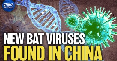 Scientists Discover 20 New Bat Viruses in China