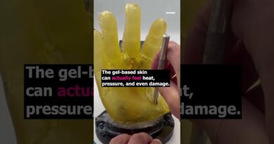 Scientists just created the most human-like robot skin yet