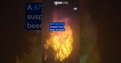 Seoul: arson on the subway | DW News
