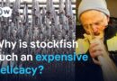 Stockfish: A prized but pricey delicacy from Norway | DW News