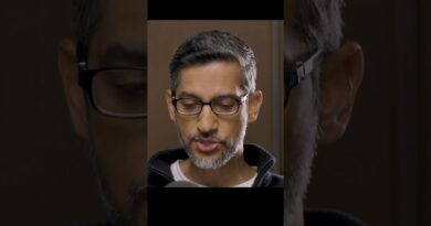 Sundar Pichai on declines in traditional Google Search as a result of AI. #Decoder
