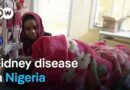 Surge in kidney disease in Nigeria has experts stumped | DW News