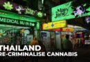 Thailand moves to re-criminalise cannabis in blow to $1bn industry