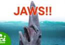 The 7 Weirdest Jaws in the Water
