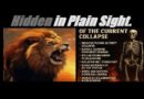 THE ANATOMY OF THE CURRENT ECONOMIC COLLAPSE… (FULL BREAKDOWN). Mannarino