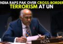‘The World Has Not Forgotten…’: India Raps Pakistan Over Terrorism And Child Abuses At The UN