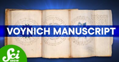 This Famous Medieval Book May Be a Hoax