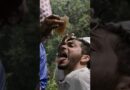 This honey makes people hallucinate