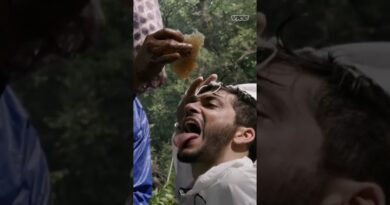This honey makes people hallucinate