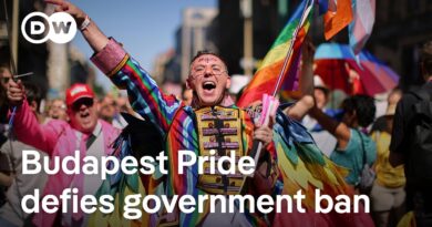 Thousands of LGBTQ activists took to the streets despite a ban by the Hungarian government | DW News
