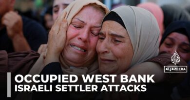 Three Palestinians killed in occupied West Bank by settlers, Israeli troops