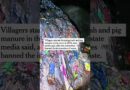 Trash-Filled Caves in ‘Avatar’ Park Set Off Outrage
