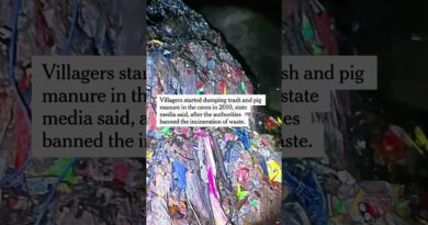 Trash-Filled Caves in ‘Avatar’ Park Set Off Outrage