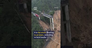 Truck driver trapped mid-air after bridge collapses amid floods in China #shorts
