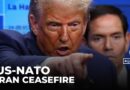 Trump Triumphant: US President Commended by NATO for Iran ceasefire