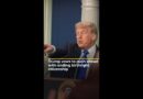 Trump vows to push ahead with ending birthright citizenship | AJ #shorts