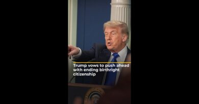 Trump vows to push ahead with ending birthright citizenship | AJ #shorts