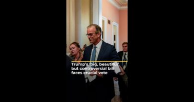 Trump’s ‘big, beautiful’ but controversial bill faces crucial vote | AJ #shorts