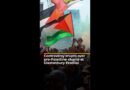 UK police investigate Glastonbury performers who led pro-Palestine chants | AJ#shorts