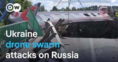 Ukraine claims to have damaged 34% of Russian strategic assets military expert says | DW News