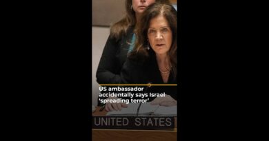 US ambassador accidentally says Israel ‘spreading terror’ | #ajshorts