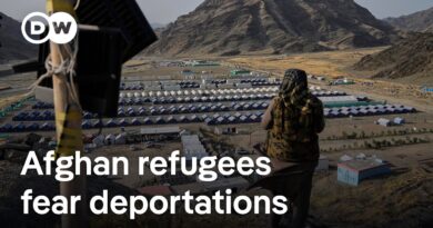 US travel ban, deportations from Pakistan: What place do Afghans have left to go | DW News