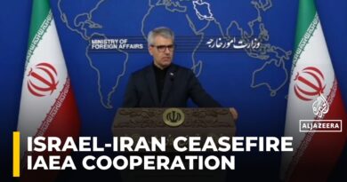 Usual cooperation with IAEA not possible due to lack of safety guarantees: Iran
