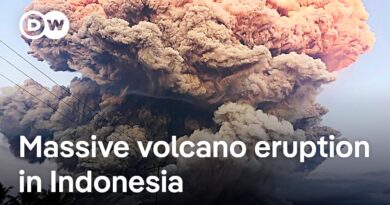 Volcano eruption grounds flights and disrupts air travel across Indonesia | DW News