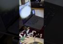 Watch: Neuralink patient moves a cursor with just thoughts