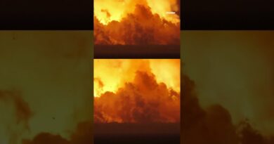 Watch: SpaceX rocket explodes during test