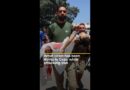 What Israel has been doing in Gaza, while attacking Iran | AJ #shorts
