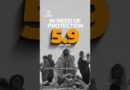 Where do displaced people go? And what happens next? | By the Numbers