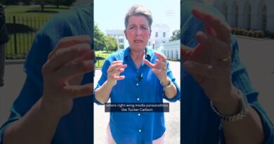 Who are the anti-interventionist MAGA voices trying to convince Trump to not strike Iran? | DW News