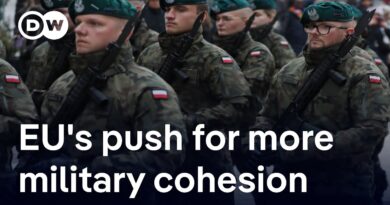 Why military integration is a struggle for EU states | DW News