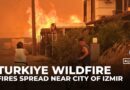 Wildfires threaten popular tourist towns near Turkiye’s Izmir, forcing mass evacuations