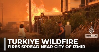 Wildfires threaten popular tourist towns near Turkiye’s Izmir, forcing mass evacuations