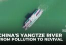 Yangtze River revival: How China is cleaning its ‘mother river’
