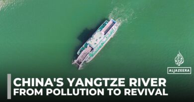 Yangtze River revival: How China is cleaning its ‘mother river’