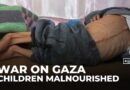 17,000 children in Gaza severely malnourished as starvation deaths rise