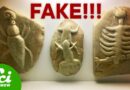 7 Of The Weirdest Fossil Hoaxes Ever
