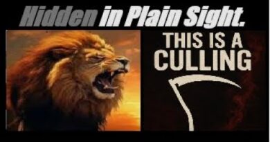 A DEATH LOOP IS IN PLAY. AMERICA IS BEING CULLED… AND “SHADOW” SYSTEM IS BEING CREATED. Mannarino