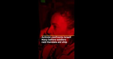 Activist confronts Israeli Navy before soldiers raid Handala aid ship