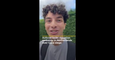 Activist locks Egyptian embassy in Netherlands over Gaza siege | AJ #shorts