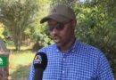 Africa Business News – Live