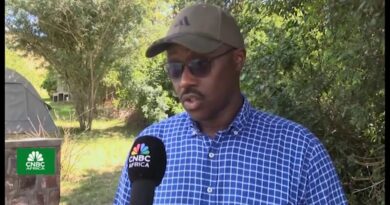 Africa Business News – Live