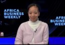 Africa Business Weekly: African countries demand fair ratings